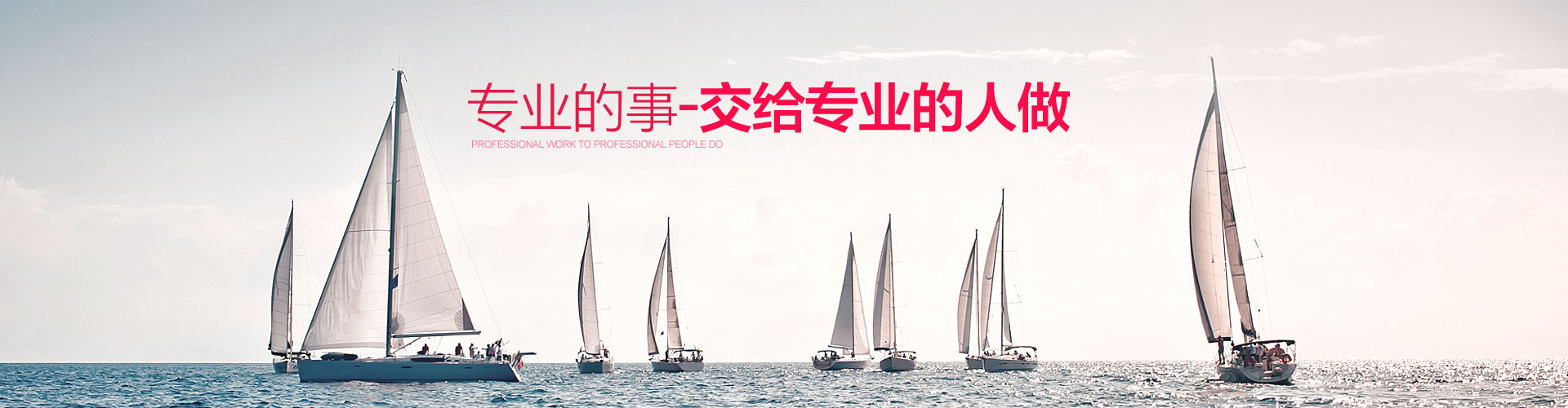 运营案例